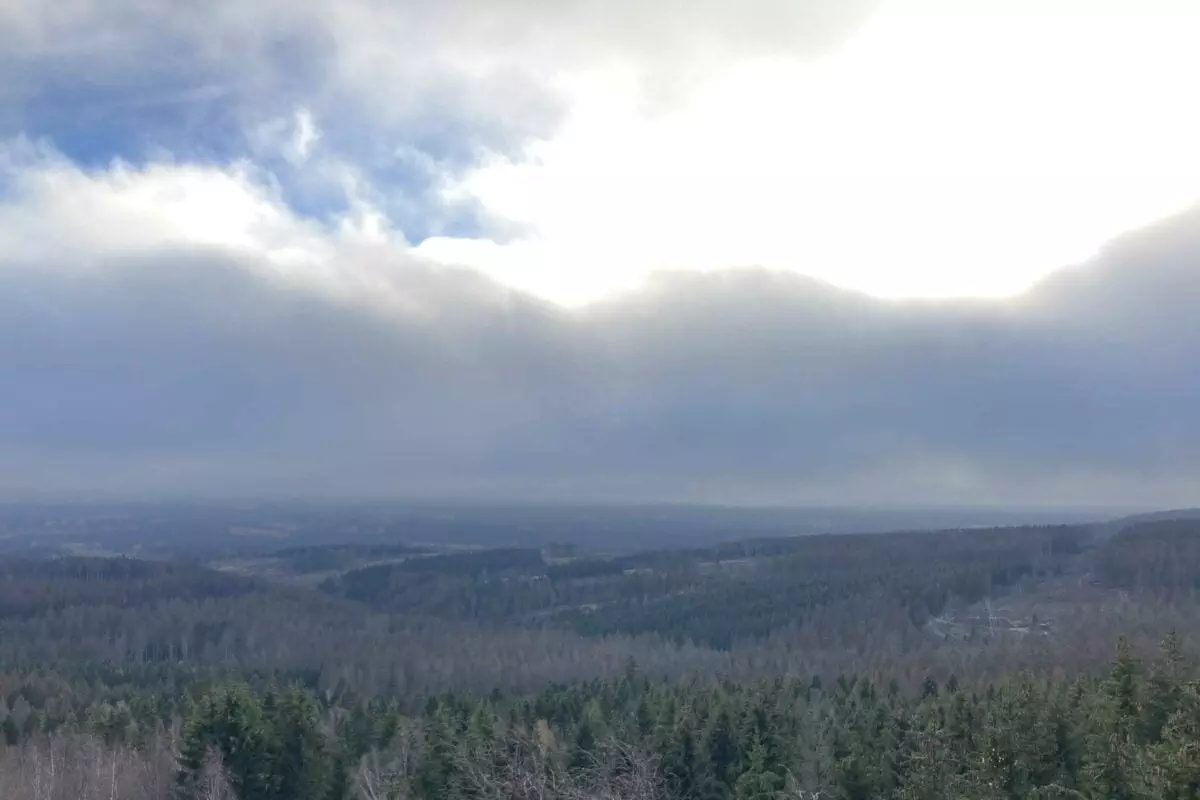 lick auf den Nationalpark Harz in dem ein weitläufiges Waldsterben durch den Klimawandel stark beschleunigt wird