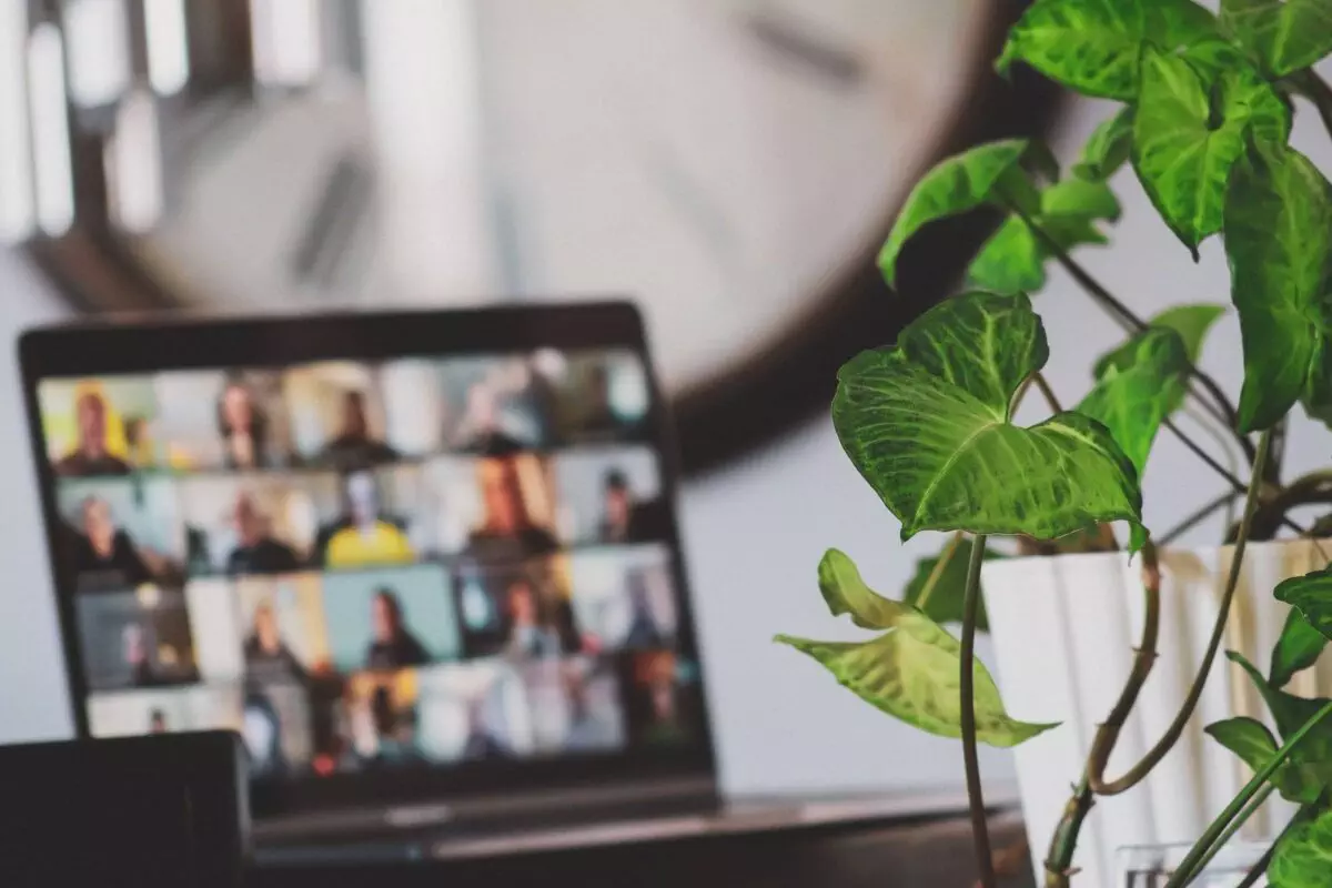 Aufgeklappter Laptop im Home Office mit einer Videokonferenz, im Vordergrund steht eine Topfpflanze