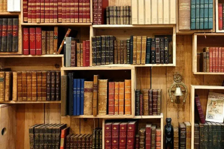 „Geisteswissenschaften zu studieren ist völlig sinnlos!“ – Warum dieses Vorurteil nicht stimmt 2 Ein Bücherregal in einer Bibliothek. Geisteswissenschaften zu studieren ist völlig sinnlos? Das stimmt nicht!