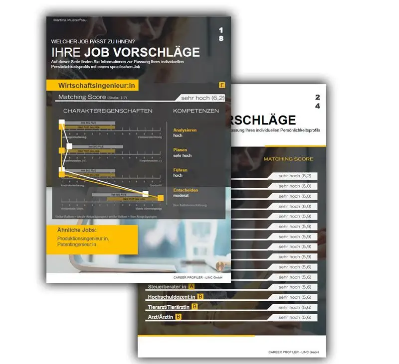 Kickstart-Coaching mit LINC Career Profiler 5 Screenshot vom LINC Career Profiler